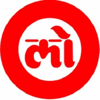 Youths 'Paranoid' rounds | तरुणाई ‘संभ्रमाच्या’ फेर्‍यात