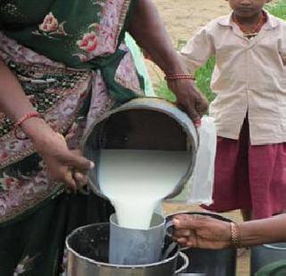 In Vidarbha milk adulteration increased in milk! | पश्‍चिम विदर्भात दुधात भेसळीचे प्रमाण वाढले !