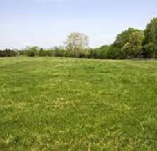 Despite the abundant lands, there is no crop! | मुबलक जमिनी असूनही घेता येईना पीक!