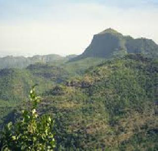 Malad hill cracks | माळद डोंगराला तडा