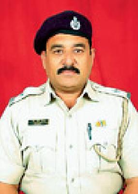 Gold medal on forest workers | वन कर्मचाऱ्यांवर सुवर्ण पदकांचा वर्षाव