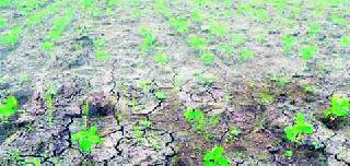Waiting for drought announcements | दुष्काळाच्या घोषणोची प्रतीक्षा
