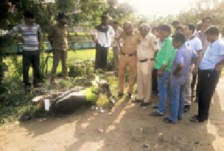 Three people die in the trailer crash | भरधाव ट्रेलरच्या धडकेत तिघांचा मृत्यू