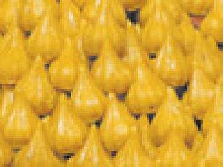 Register for FDO to distribute Prasad | प्रसाद वितरणासाठी करा एफडीएकडे नोंदणी