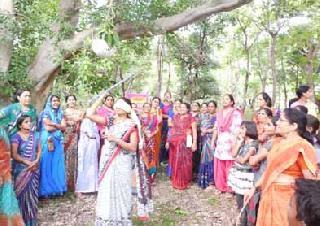 'Sakhi Rangey Nissarga Sangge' trip to Lokmat Sakhi Forum | लोकमत सखी मंचची ‘सखी रंगे निसर्गा संगे’ सहल