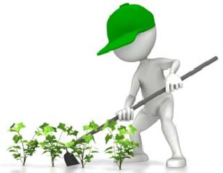 Modern farming in prison | कारागृहात होणार आधुनिक शेती Modern farming in prison | कारागृहात होणार आधुनिक शेती