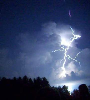 Electricity killed 2 women killed | वीज पडून २ महिला ठार