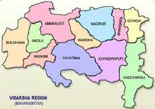 From Nagpur to Delhi, for a separate Vidarbha, | वेगळ्या विदर्भासाठी नागपूर ते दिल्ली पदयात्रा