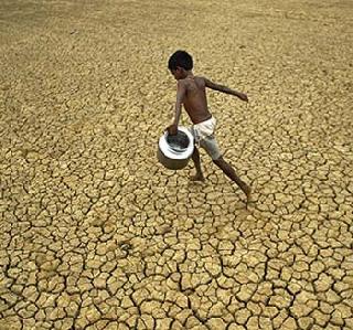 Kharif crops in the danger of the state! | राज्यातील खरीप पिके धोक्यात!