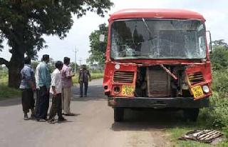Bus-truck hit; 31 pilgrims injured, including six students | बस-ट्रकची धडक; सहा विद्यार्थ्यांसह ३१ प्रवासी जखमी