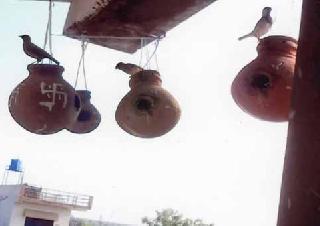 Chimukya Sambhaji made a home of Vrinda Paksha's residence | चिमुकल्या संभाजीने घराचा व्हरंडा बनविला पक्षांचे निवासस्थान