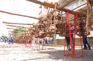 Jalashishkala today in Rajeshwar | राजेश्‍वराला आज जलाभिषेक