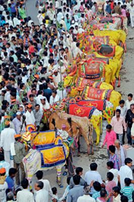 Happy Feast: | सण आनंदाचा :