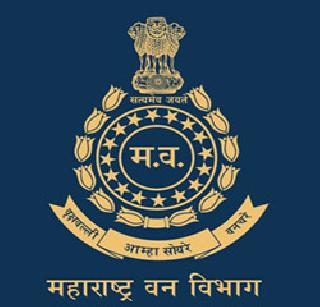 Thousands of 20 thousand workers in the strike | वेतनश्रेणीच्या मागणीसाठी २० हजार वनकर्मचारी बेमुदत संपावर