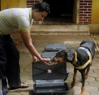 The cause of the explosion in the bouquet | स्फोटाचे कारण गुलदस्त्यात