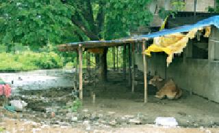 'City of the City' encroachment 'Street'! | ‘आॅरेंज सिटी’ नव्हे अतिक्रमण ‘स्ट्रीट’!