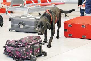 Makkoca of Pune blasts accused immediately | पुणे बॉम्बस्फोटातील आरोपींचा मक्कोका तूर्तास कायम Makkoca of Pune blasts accused immediately | पुणे बॉम्बस्फोटातील आरोपींचा मक्कोका तूर्तास कायम