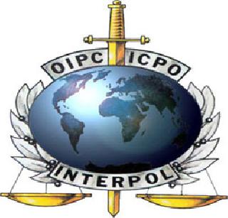 Interpol ravages for 5 years in Pune | इंटरपोलला चकवत ५ वर्षांपासून पुण्यात Interpol ravages for 5 years in Pune | इंटरपोलला चकवत ५ वर्षांपासून पुण्यात