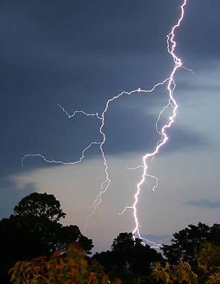 Electricity in Telhara taluka falls due to electricity | तेल्हारा तालुक्यात वीज पडून चौघांचा मृ्त्यू Electricity in Telhara taluka falls due to electricity | तेल्हारा तालुक्यात वीज पडून चौघांचा मृ्त्यू