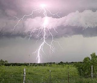 21 laborers injured in electricity in Mehkar taluka | मेहकर तालुक्यात वीज पडून २१ मजूर जखमी