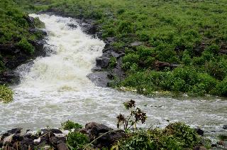 Rainy Day | पावसाचा दिवस