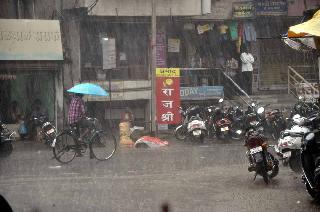 The farmer has dried | शेतकरी सुखावला The farmer has dried | शेतकरी सुखावला