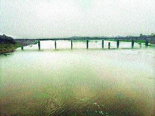 Twelve hectare maize groundnut | बाराशे हेक्टर मका भुईसपाट Twelve hectare maize groundnut | बाराशे हेक्टर मका भुईसपाट