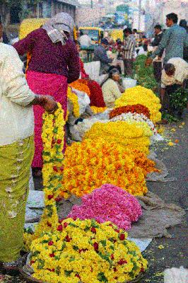 Imports of sacrificial flowers in Gulshanabad | गुलशनाबादमध्ये होतेय पुजेच्या फुलांची आयात