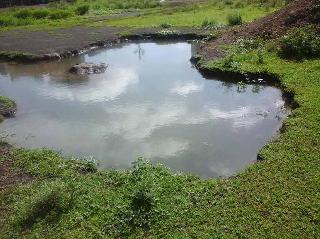 Lives in two water springs in water | पाण्यात बुडणार्‍या दोन चिमुकल्यांना जीवदान