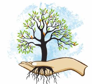 Lessons of Gram Panchayats with tree cultivation | वृक्ष लागवडीकडे ग्रामपंचायतींची पाठ