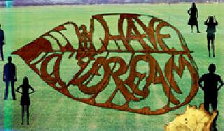 Photographer on the question of farmers! | शेतकऱ्यांच्या प्रश्नावर पर्णचित्र!