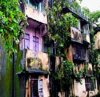 The municipal staff is not the only refuge | पालिका कर्मचा:यांनाच आसरा नाही The municipal staff is not the only refuge | पालिका कर्मचा:यांनाच आसरा नाही