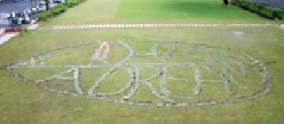 The grand paintings of farmers' pain | शेतकऱ्यांच्या वेदनांचे महापर्णचित्र