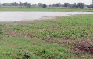 Farmer's loss with canal water | कालव्याच्या पाण्याने शेतकर्‍याचे नुकसान