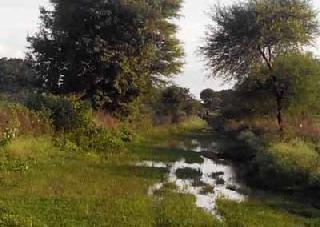 Waiting for strengthening Chikhali partner | चिखली जोडरस्त्याला मजबुतीकरणाची प्रतीक्षा