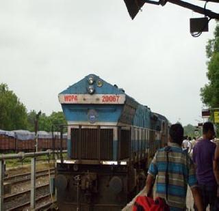 The Konkan girl hit 10 buffaloes | ‘कोकण कन्या’ने 10 म्हशींना चिरडले The Konkan girl hit 10 buffaloes | ‘कोकण कन्या’ने 10 म्हशींना चिरडले