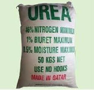 Where can I get urea? The rain needs to be opened | युरिया कुठे मिळेल ? पाऊस उघडताच भासणार गरज Where can I get urea? The rain needs to be opened | युरिया कुठे मिळेल ? पाऊस उघडताच भासणार गरज