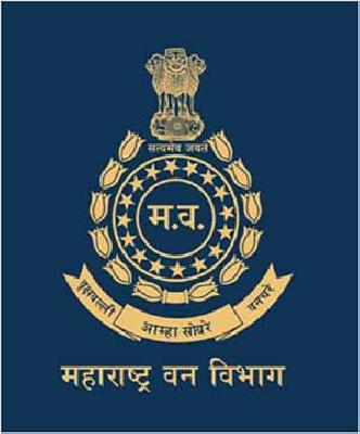 Forest Department to be 'hi tech' | वन विभाग होणार ‘हाय टेक’