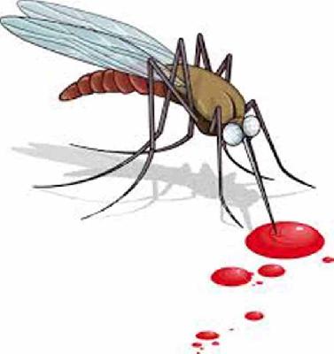 Dengue patient found in Umbaradazaar | उंबर्डाबाजार येथे आढळला डेंग्यूचा रूग्ण