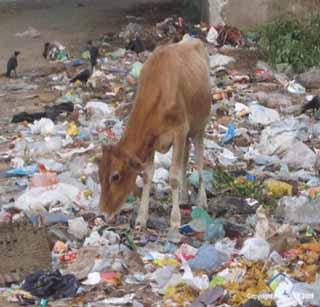 Plastic ban open-ended violation | प्लास्टिक बंदीचे खुलेआम उल्लंघन