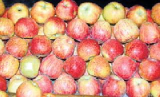 Retail prices are expensive! | किरकोळमध्ये फळे महागच!