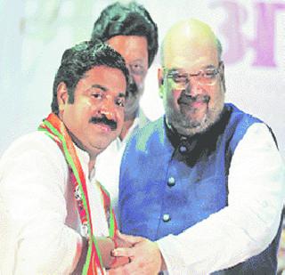 The BJP is hit by the move? | कदमांमुळे भाजपालाच फटका?