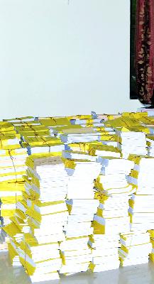 Updating lists will not prevent bogus voting | बोगस मतदान टाळण्यासाठी करणार अद्ययावत याद्या