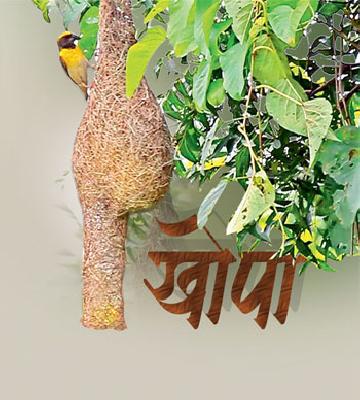 Khopa | खोपा