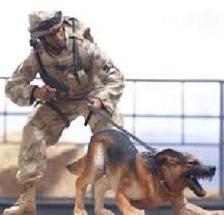 Police personnel to find ministers dogs | मंत्र्यांचे कुत्रे शोधण्यासाठी पोलिसांची फौज