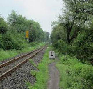 Ruling plants treat the criminals | रुळालगतची झाडी गुन्हेगारांना खतपाणी