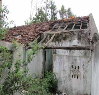 Due to administrative buildings | शासकीय इमारतींची दुरवस्था