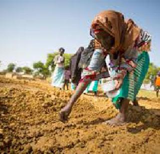 In the south of Daund, start the sowing season | दौंडच्या दक्षिण भागात पेरणीची लगबग सुरू