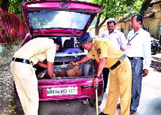 Challenge of black money in assembly elections | विधानसभा निवडणुकीत काळ्या पैशाचे आव्हान