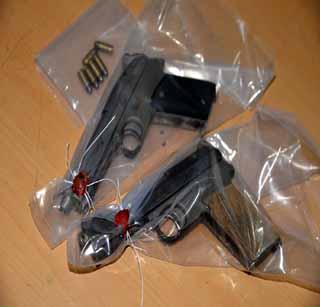 Two country-made pistols, 6 cartridges seized | दोन देशी बनावटीच्या पिस्तूल, ६ काडतूस जप्त